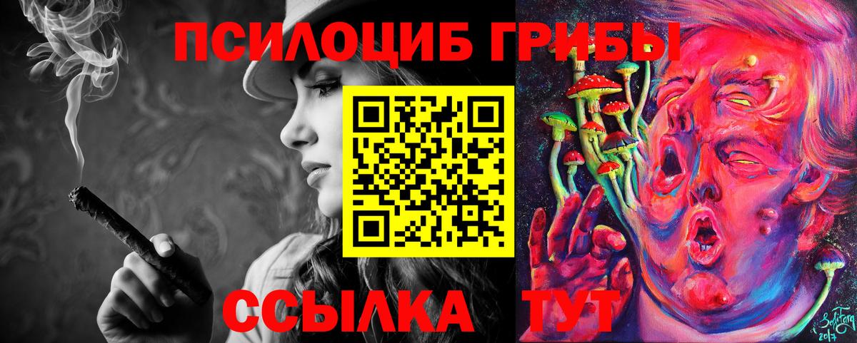 хочу   Галлюциногенные грибы Cubensis  Вход с VPN  Майкоп 