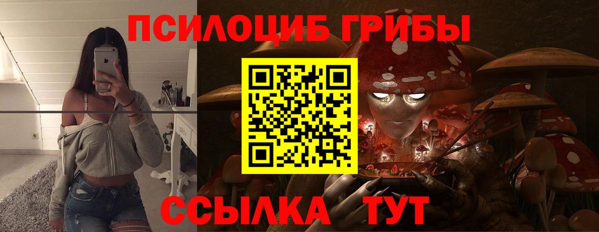 Псилоцибиновые грибы Cubensis Майкоп